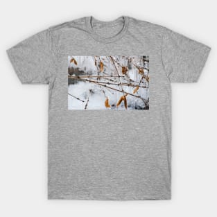 Ice Melts T-Shirt